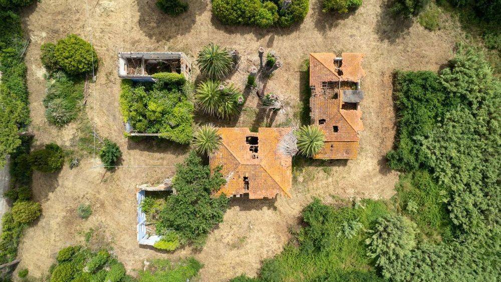 Rustico / casale a Castagneto carducci in Via località sant'uberto bolgheri, 1 - Foto 4