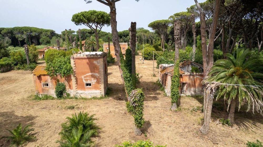 Rustico / casale a Castagneto carducci in Via località sant'uberto bolgheri, 1 - Foto 5