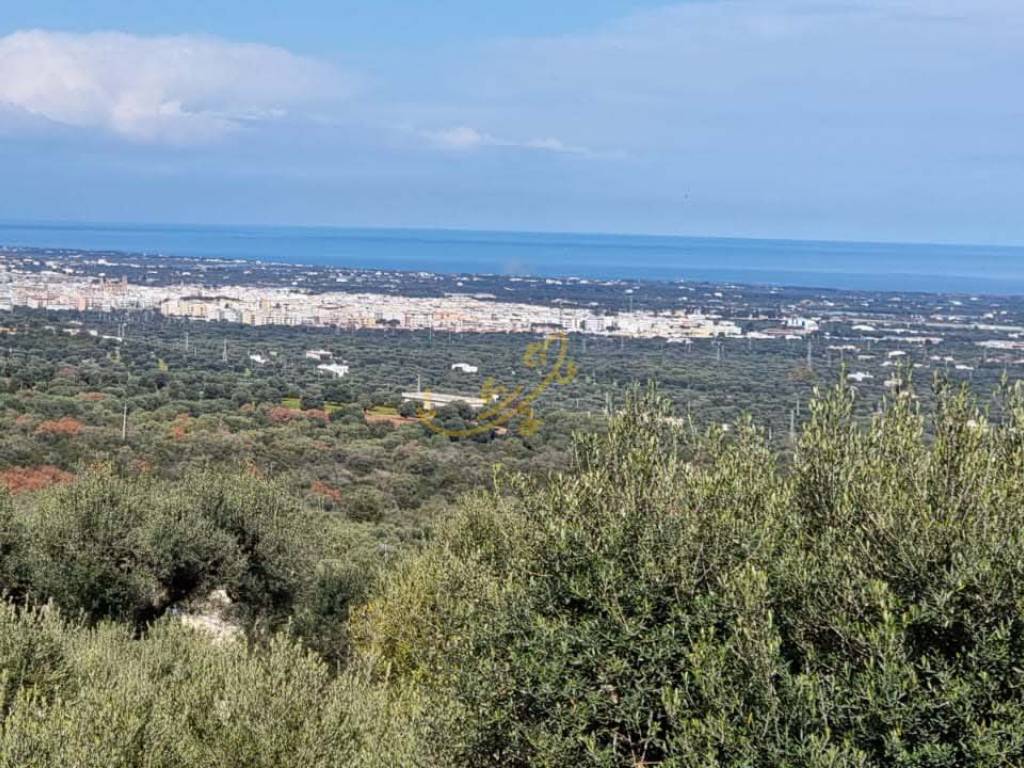 Rustico / casale a Fasano in C.da Gravinella - Foto 2