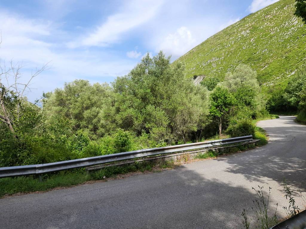 Terreno a Centola in SS562d - Foto 2