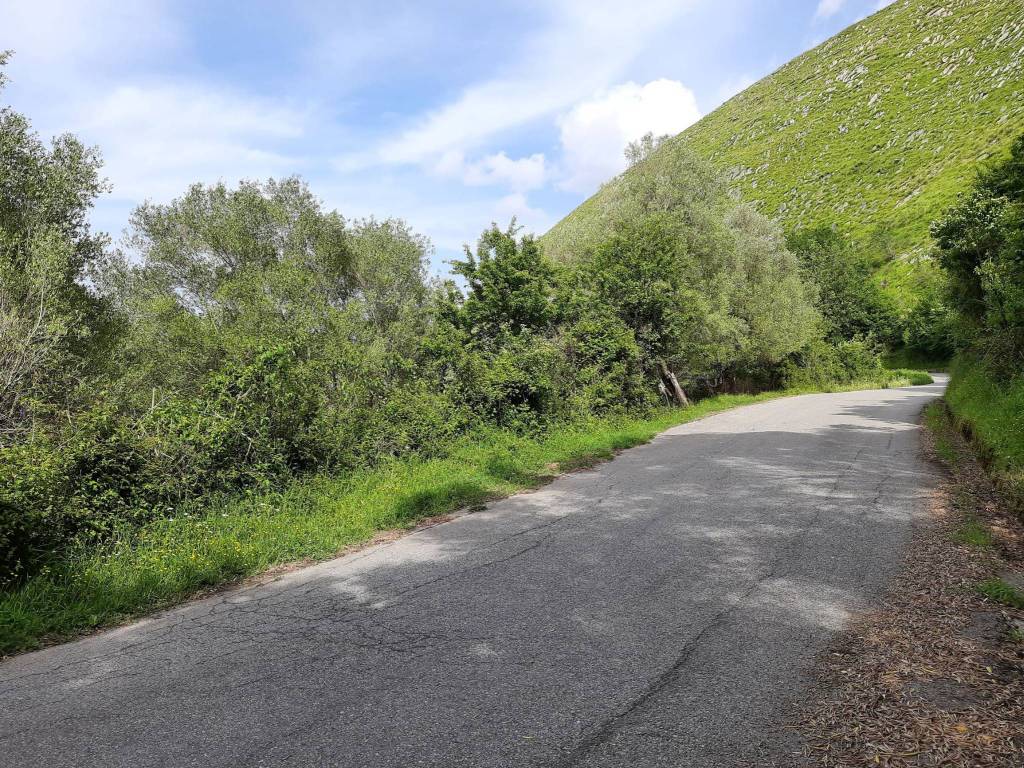 Terreno a Centola in SS562d - Foto 3