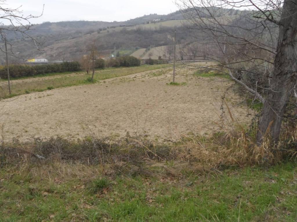 Terreno a Controguerra in Piane di Tronto, 50 - Foto 2