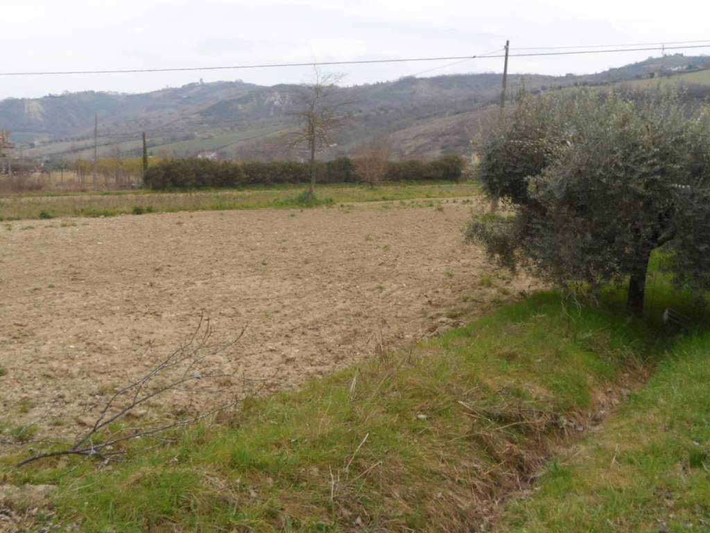 Terreno a Controguerra in Piane di Tronto, 50 - Foto 4