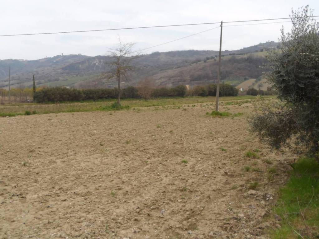 Terreno a Controguerra in Piane di Tronto, 50 - Foto 5