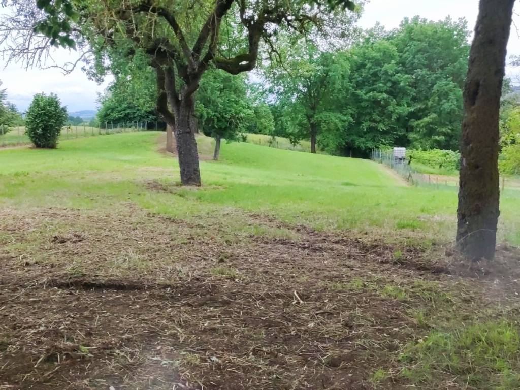 Rustico / casale a Asti in Bramairate - Foto 3