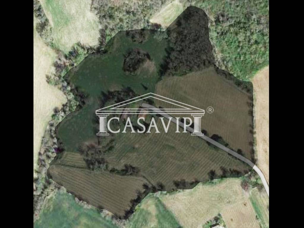 Rustico / casale a Gualdo cattaneo - Foto 5