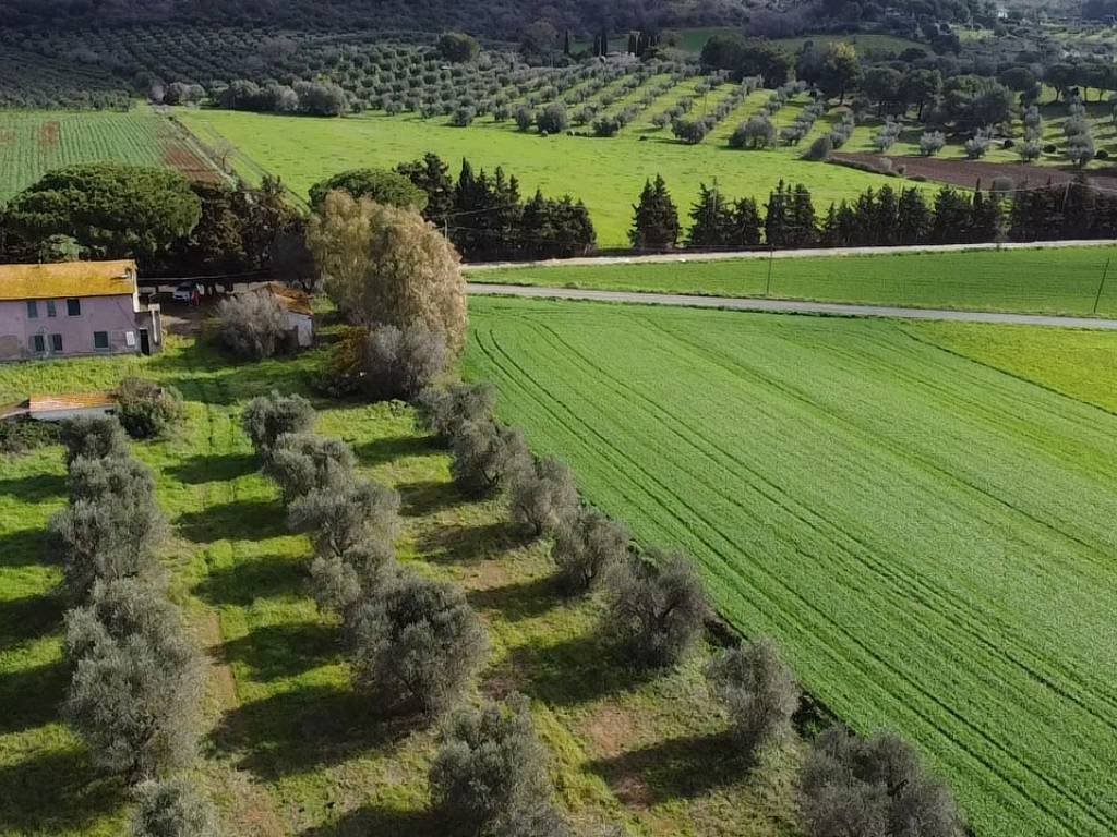 Villa a Capalbio in Strada del Giardino - Foto 3