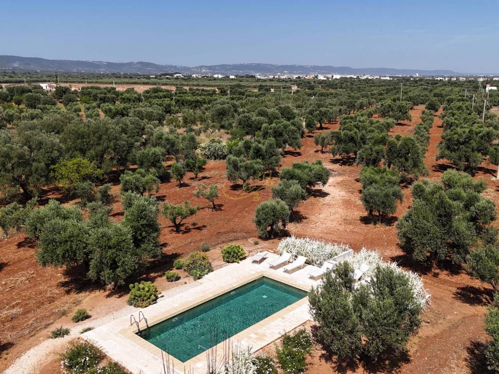 Villa a Fasano in Speziale - Foto 3