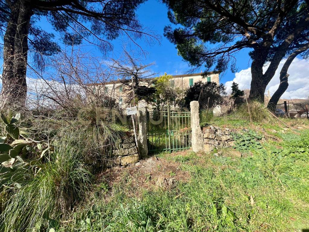 Appartamento a Scansano in località casini - Foto 3