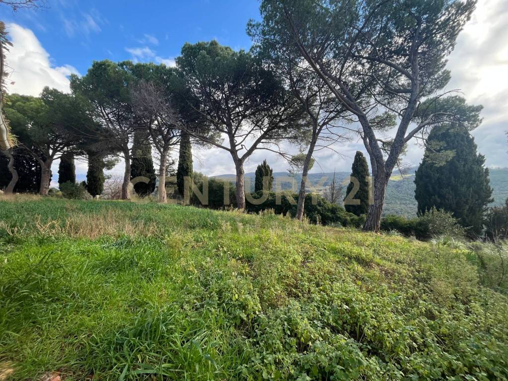 Appartamento a Scansano in località casini - Foto 4