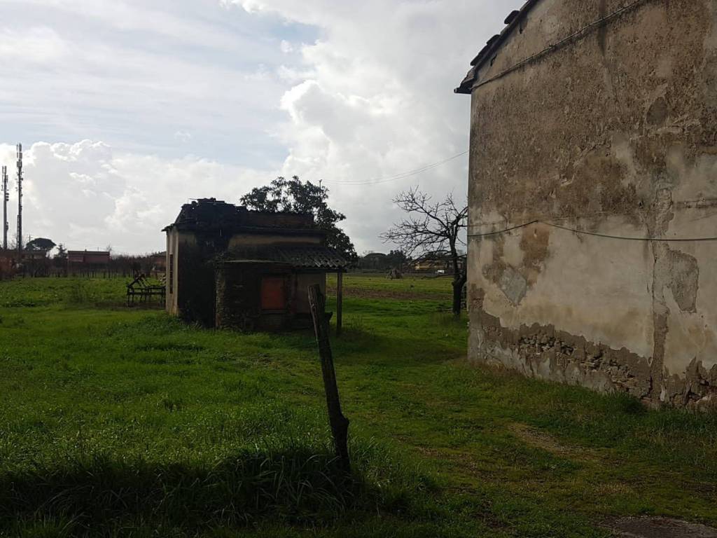 Rustico / casale a Pieve a nievole in Via Guglielmo Marconi - Foto 2