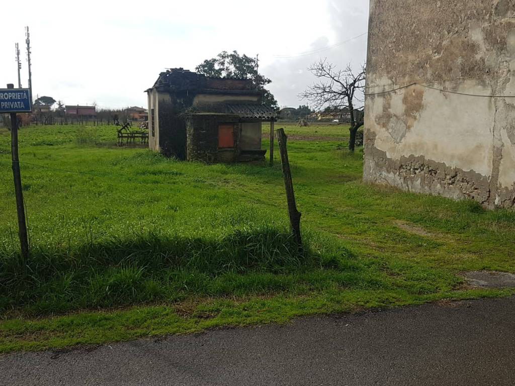 Rustico / casale a Pieve a nievole in Via Guglielmo Marconi - Foto 5