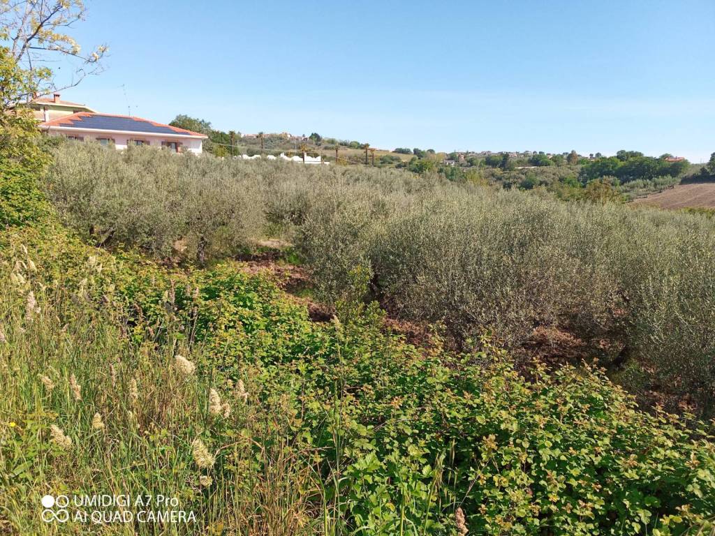 Terreno a Mozzagrogna in Rosciavizza - Foto 2
