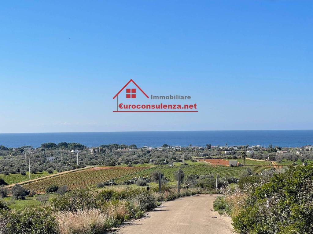 Terreno a Alliste in Contrada Ninfeo - Foto 5