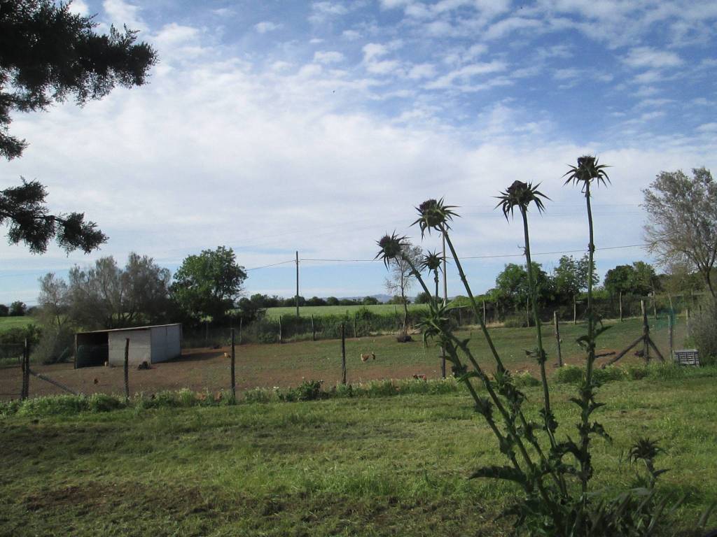 Terreno a Viterbo - Foto 2