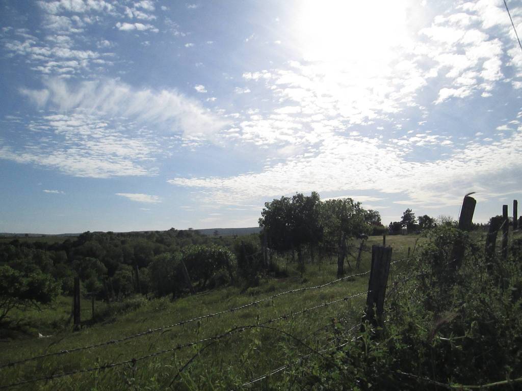 Terreno a Viterbo - Foto 4