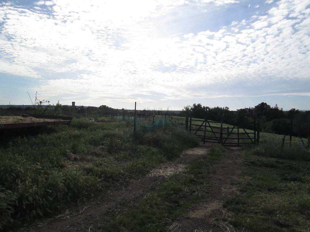 Terreno a Viterbo - Foto 5