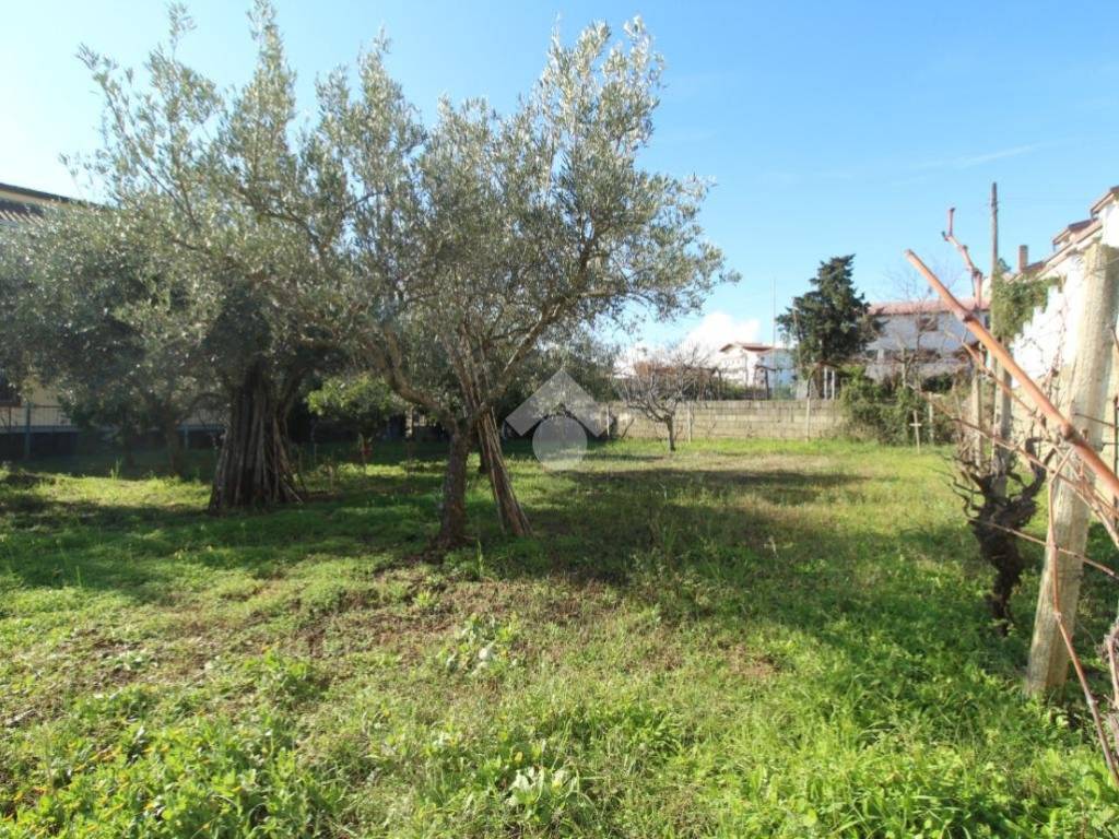 Terreno a Montalto uffugo in Via Firenze, 5 - Foto 4