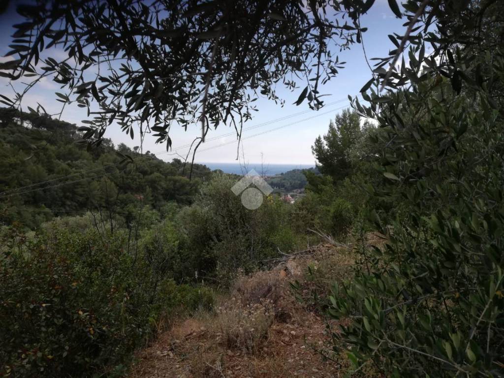 Terreno a San bartolomeo al mare in Via Richieri - Foto 2