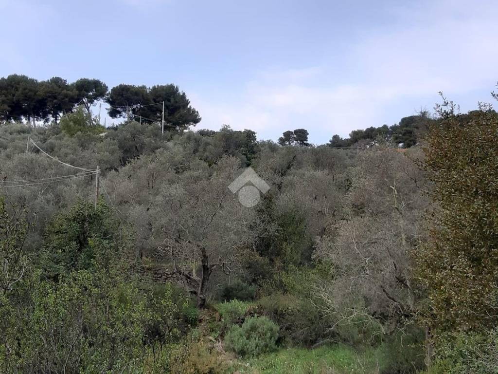 Terreno a San bartolomeo al mare in Via Richieri - Foto 3