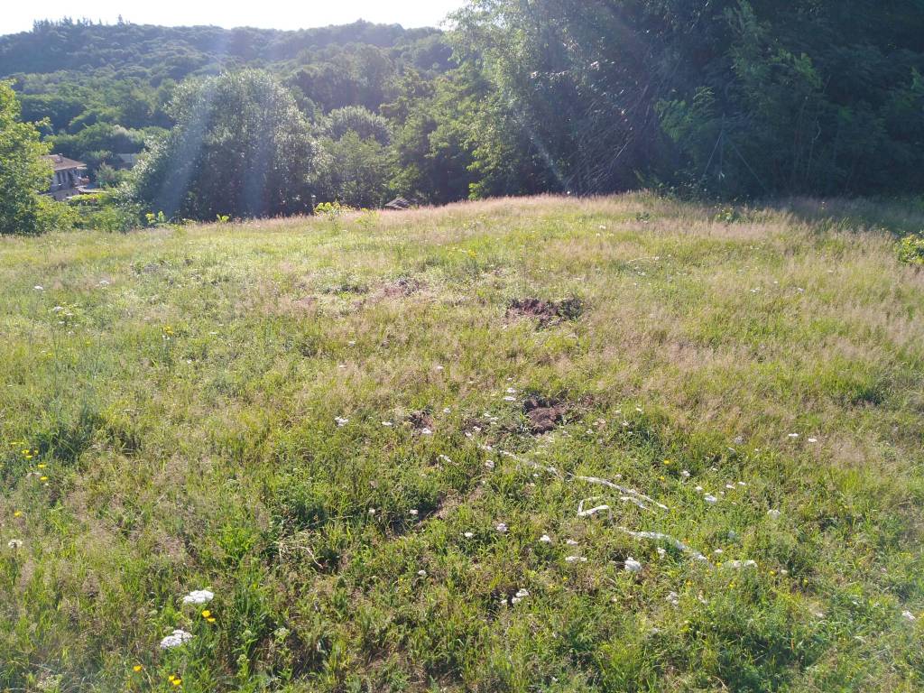 Terreno a Gozzano in Via Baraggiola - Foto 5