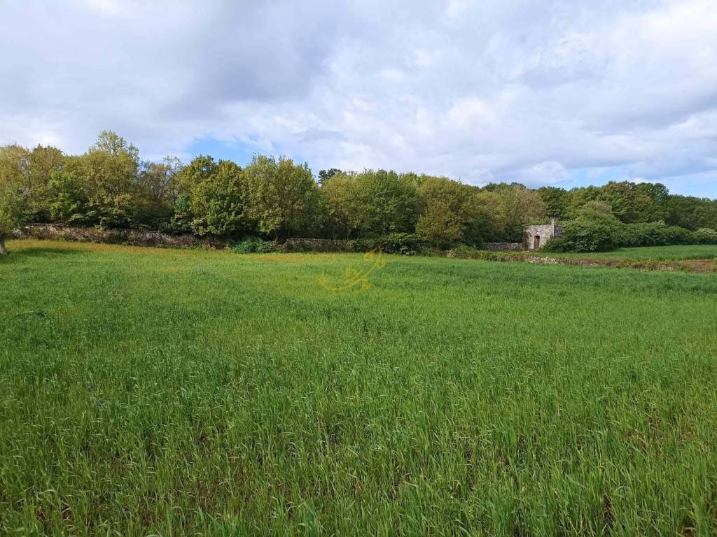 Rustico / casale a Martina franca in Via Villa Castelli - Foto 4