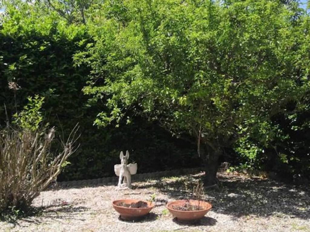 Appartamento a Jesi in Corso Matteotti S.N.C. - Foto 4