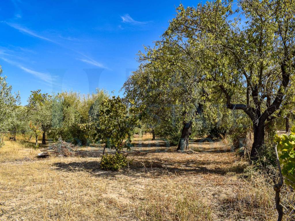 Villa a Noto in Via Tommaso Fazello, 228 - Foto 4