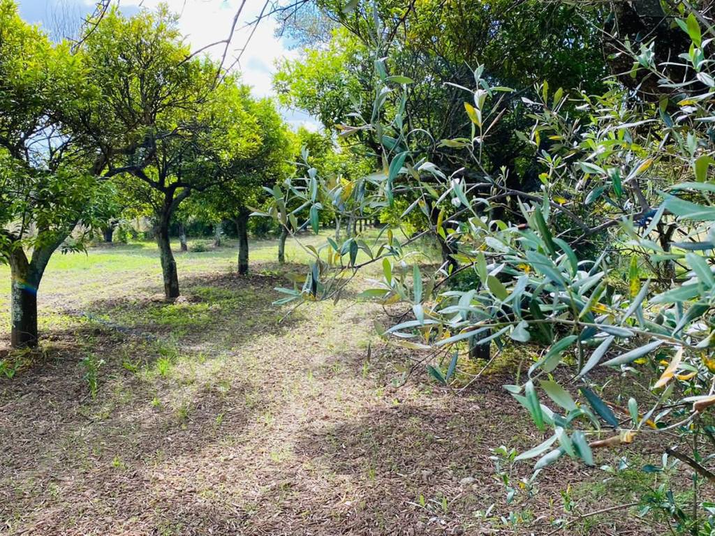 Terreno a Lamezia terme in Via delle Rose - Foto 2