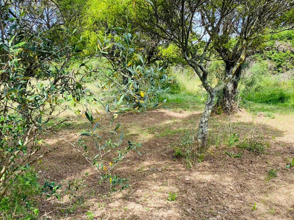 Terreno a Lamezia terme in Via delle Rose - Foto 4