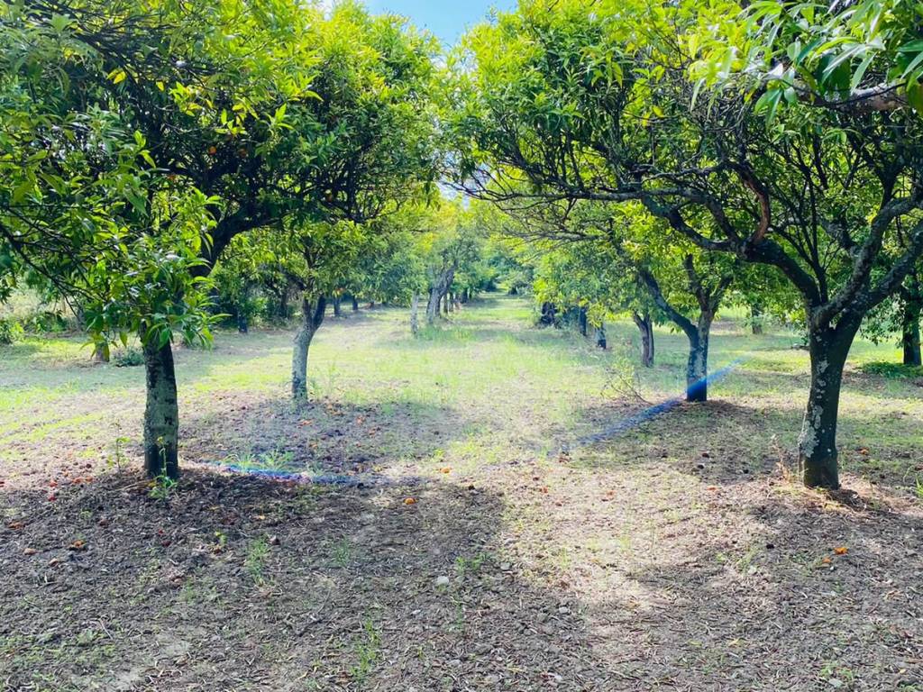 Terreno a Lamezia terme in Via delle Rose - Foto 5