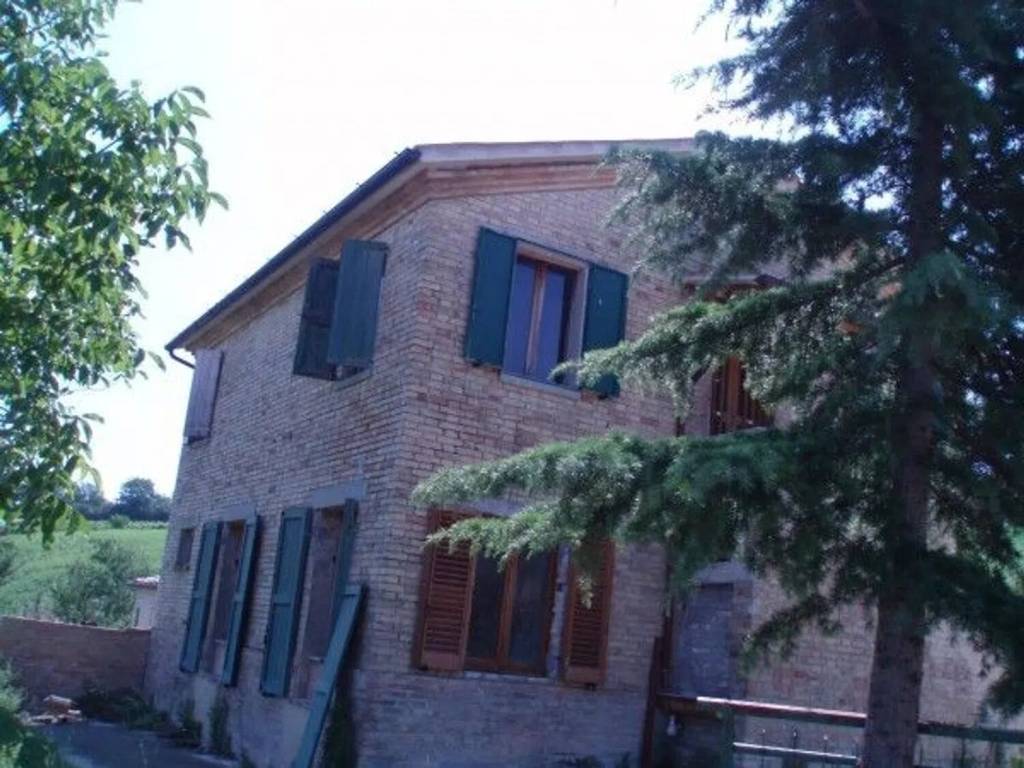 Rustico / casale a Rapagnano in Strada Provinciale 72 - Foto 3