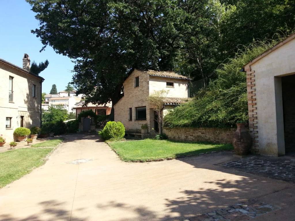 Rustico / casale a Grottazzolina - Foto 5