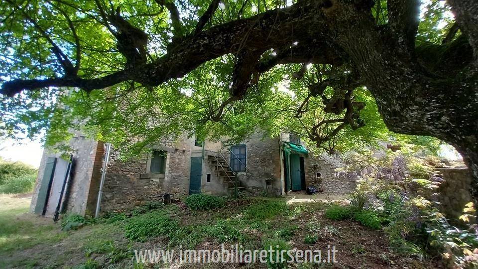 Rustico / casale a Ficulle - Foto 4