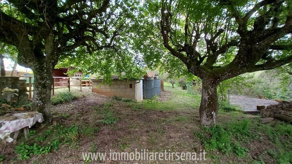 Rustico / casale a Ficulle - Foto 5