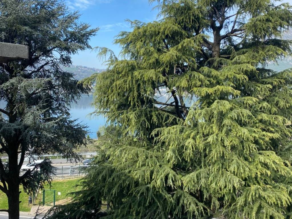 Appartamento a Lecco - Foto 5