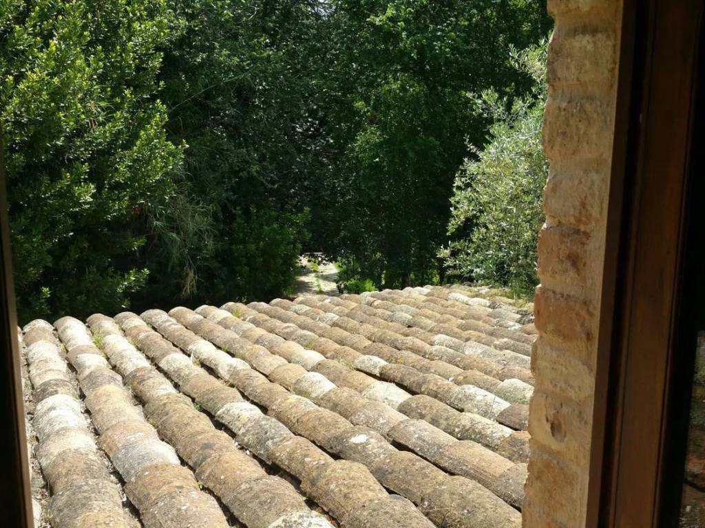 Rustico / casale a Fermo in Torre Di Palme, 1 - Foto 4