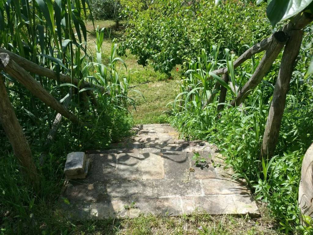 Rustico / casale a Fermo - Foto 4