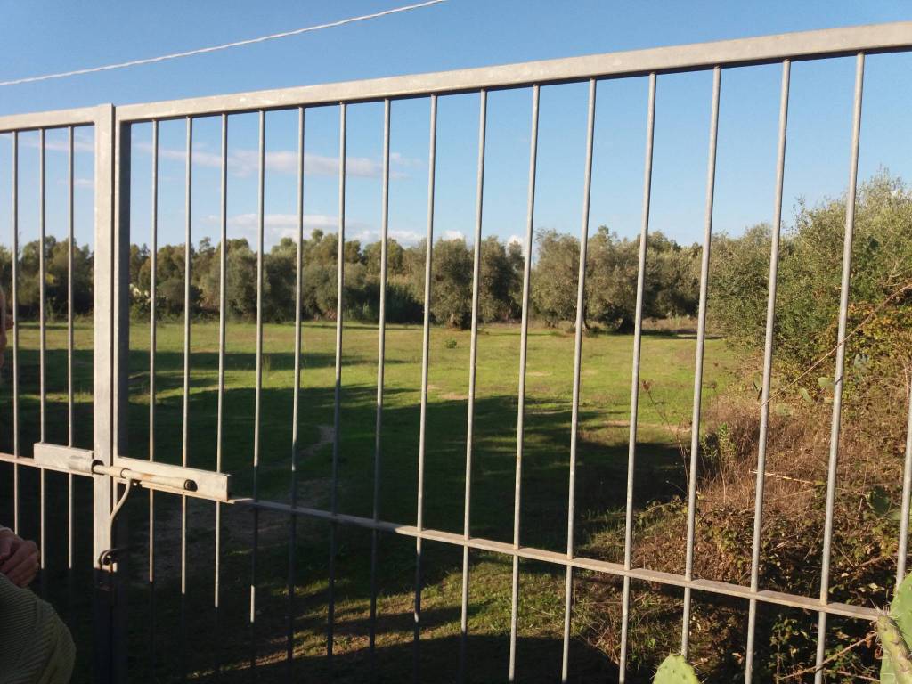 Terreno a Oristano - Foto 3