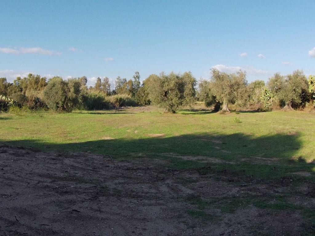Terreno a Oristano - Foto 4