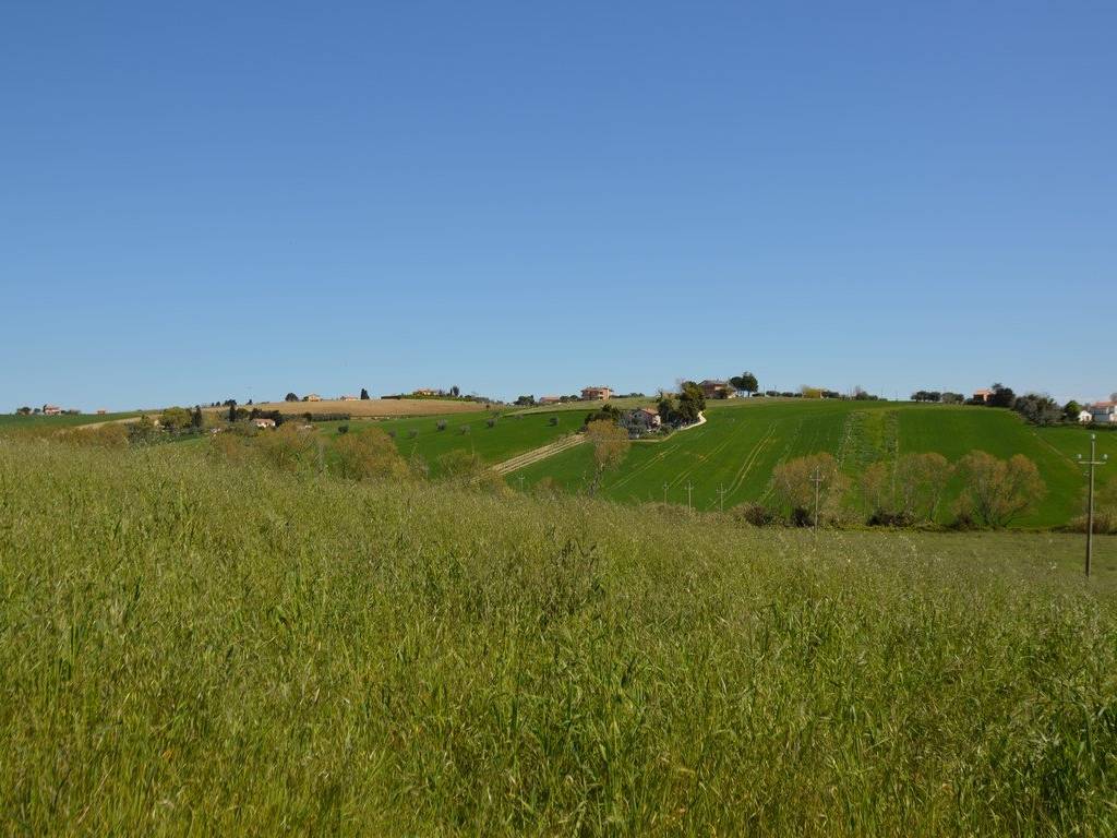 Rustico / casale a Recanati - Foto 4