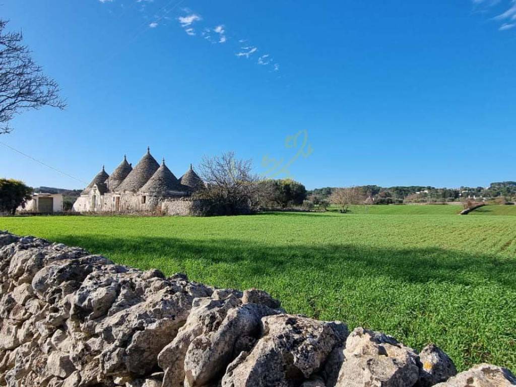 Rustico / casale a Martina franca in Strada Padula Cappa - Foto 4