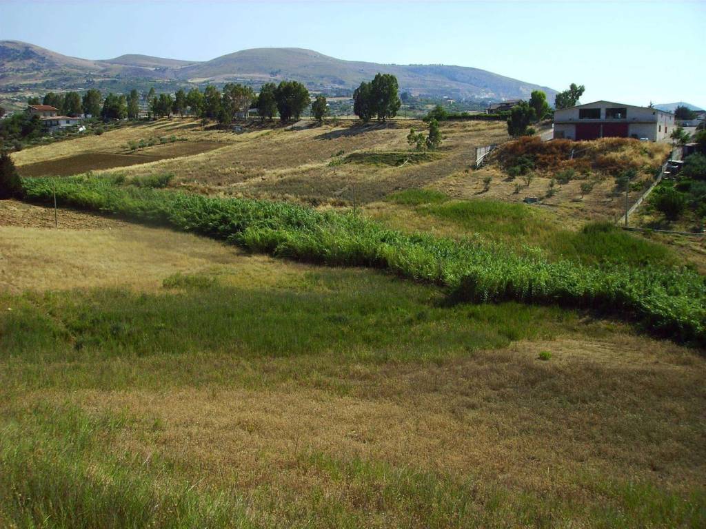 Terreno a Bolognetta - Foto 5