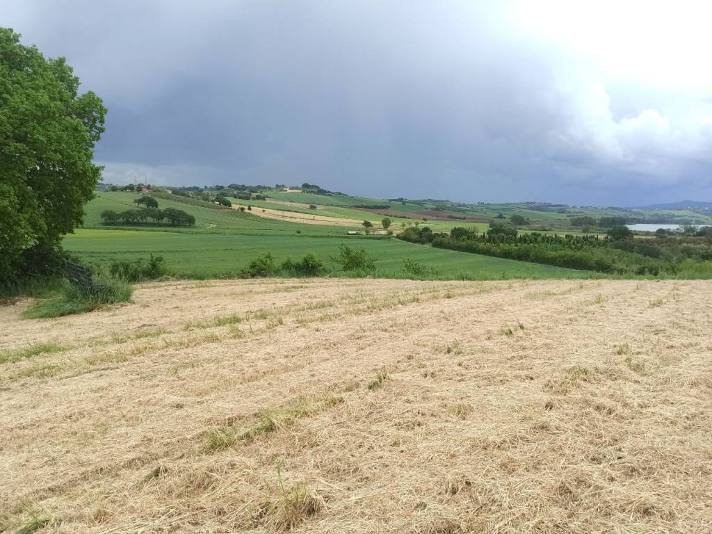 Terreno a Castiglione del lago - Foto 2