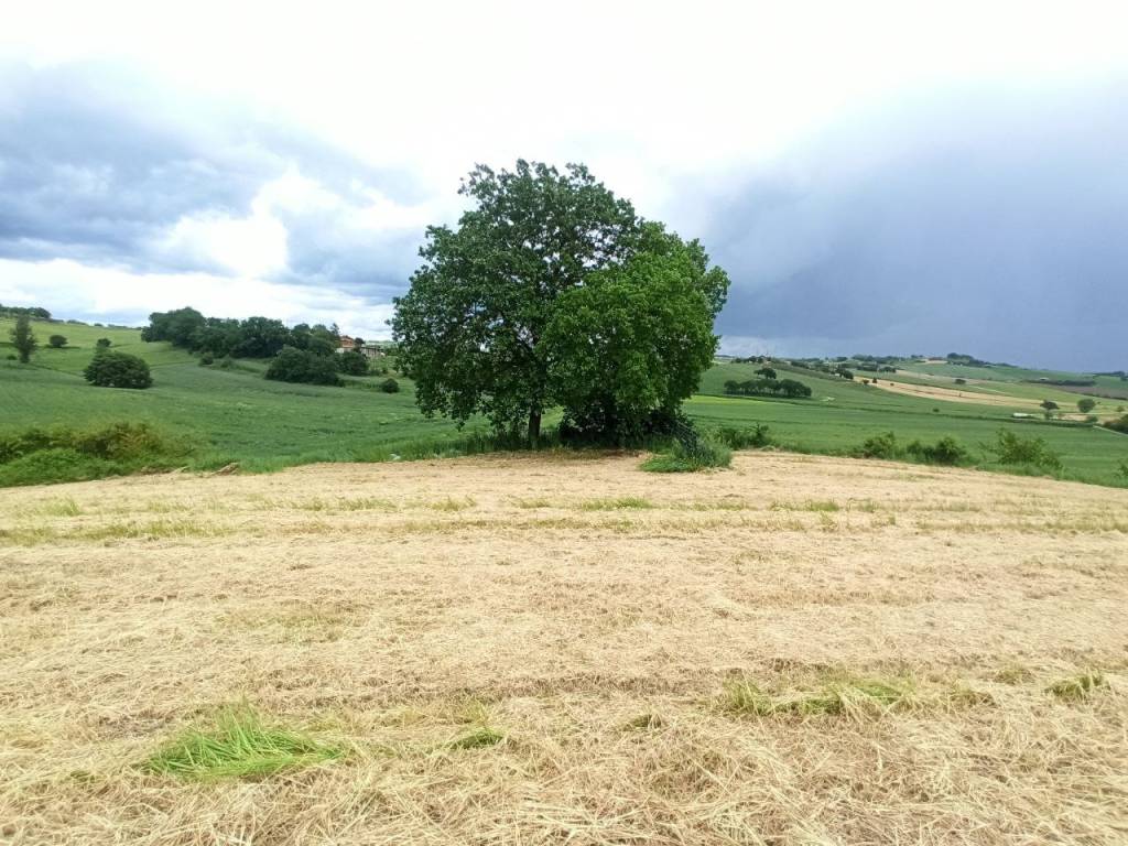Terreno a Castiglione del lago - Foto 3