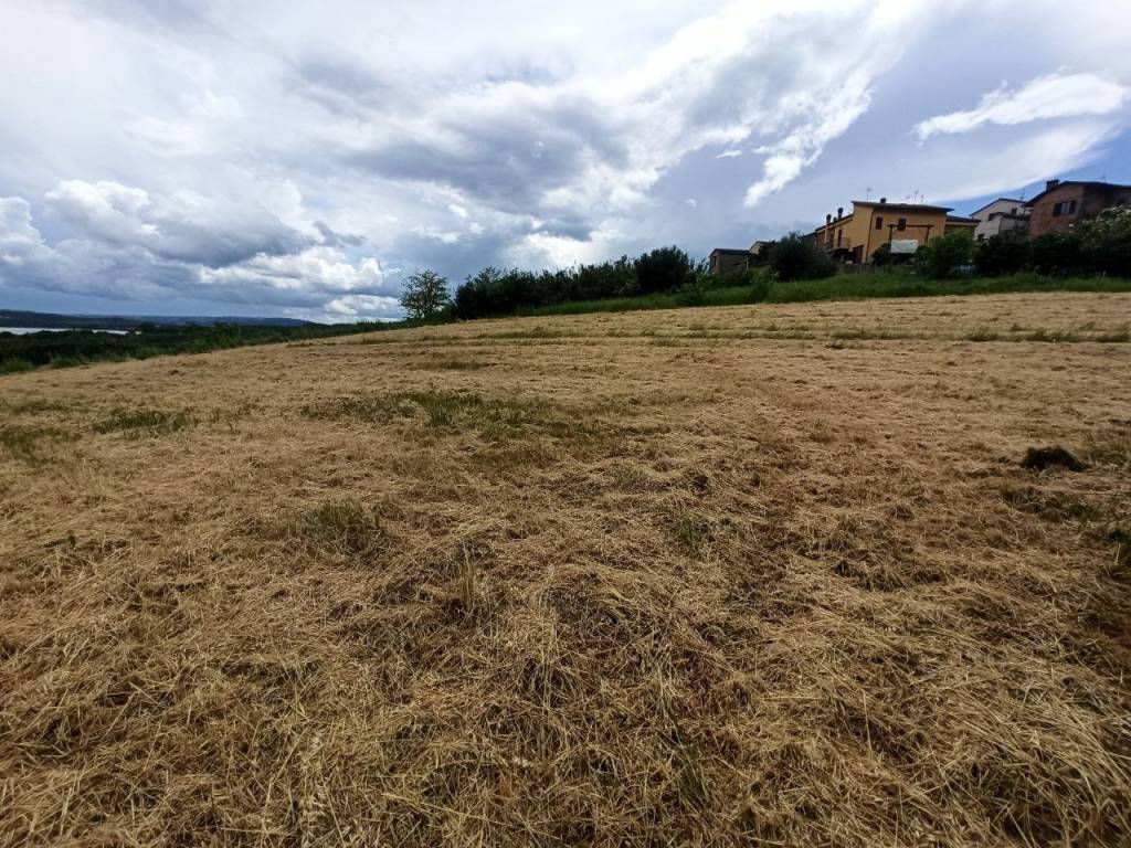 Terreno a Castiglione del lago - Foto 4