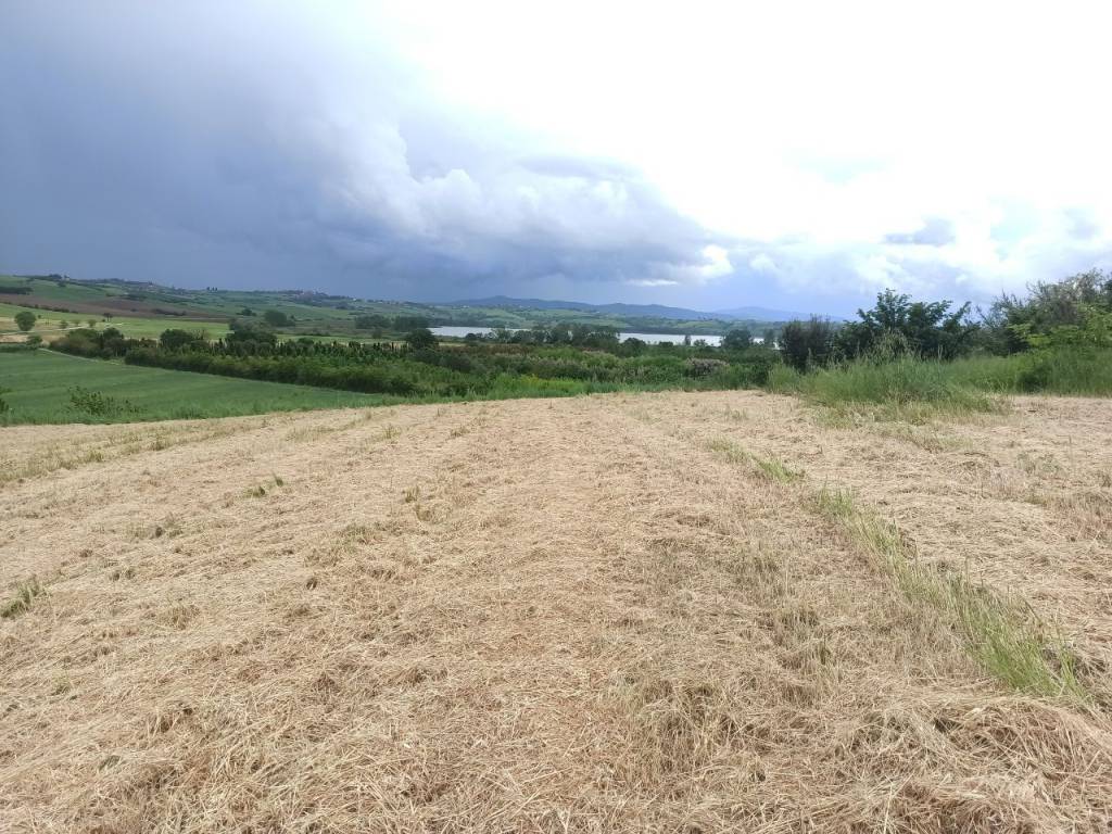 Terreno a Castiglione del lago - Foto 5