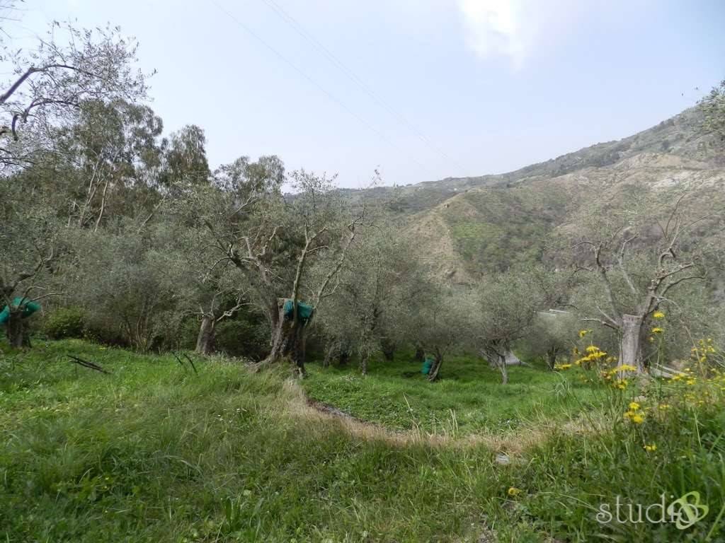 Rustico / casale a Perinaldo in Località Massabò - Foto 4