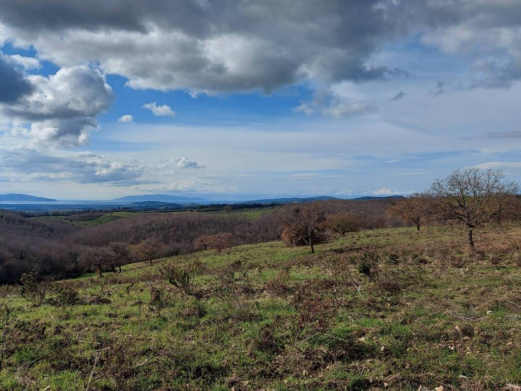 Terreno a Magliano in toscana in Strada Consortile La Capitana - Foto 2
