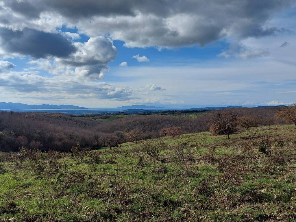 Terreno a Magliano in toscana in Strada Consortile La Capitana - Foto 3